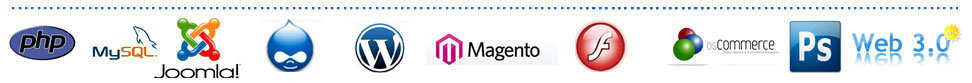 Website Design  Development Company India